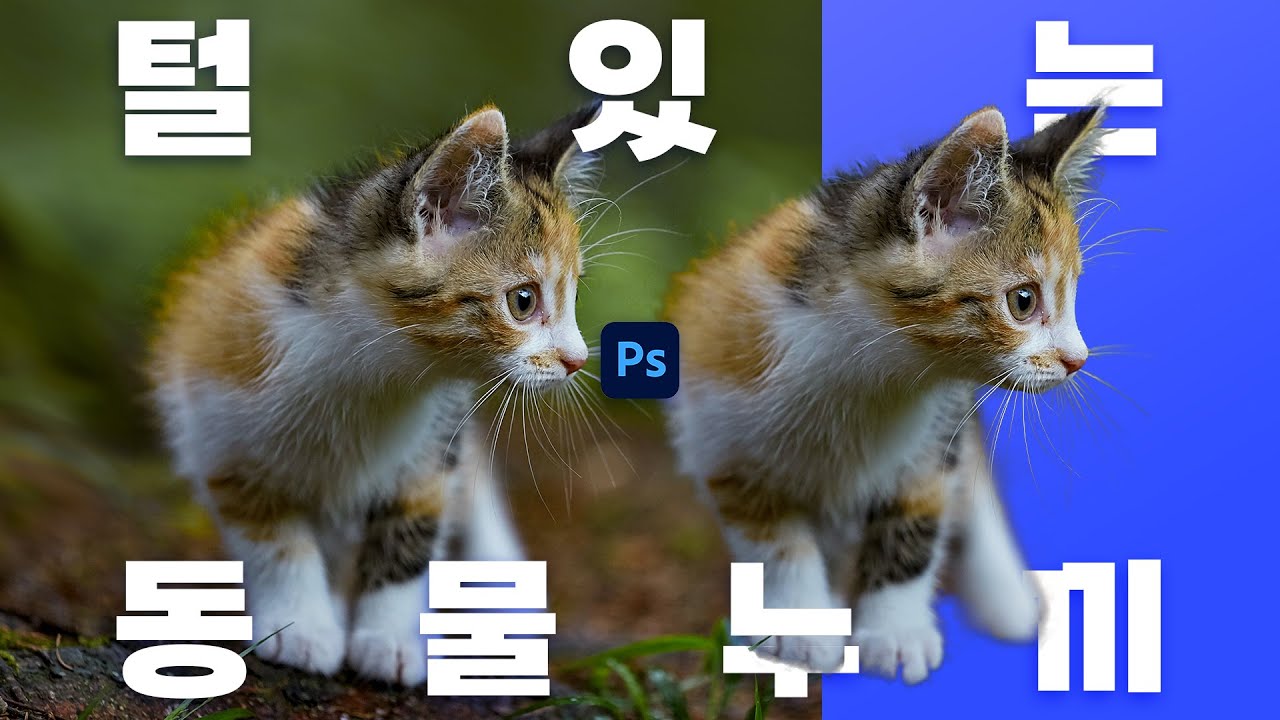 초간단! 동물의 털, 머리카락 누끼 따끼 #포토샵무료강좌