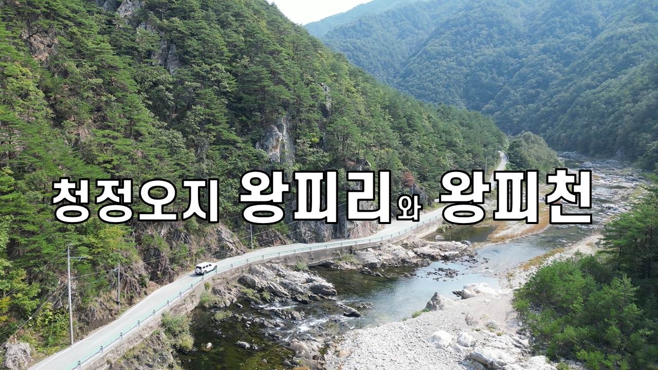 왕이 피난했다는 오지, 왕피리 그리고 청정계곡 왕피천