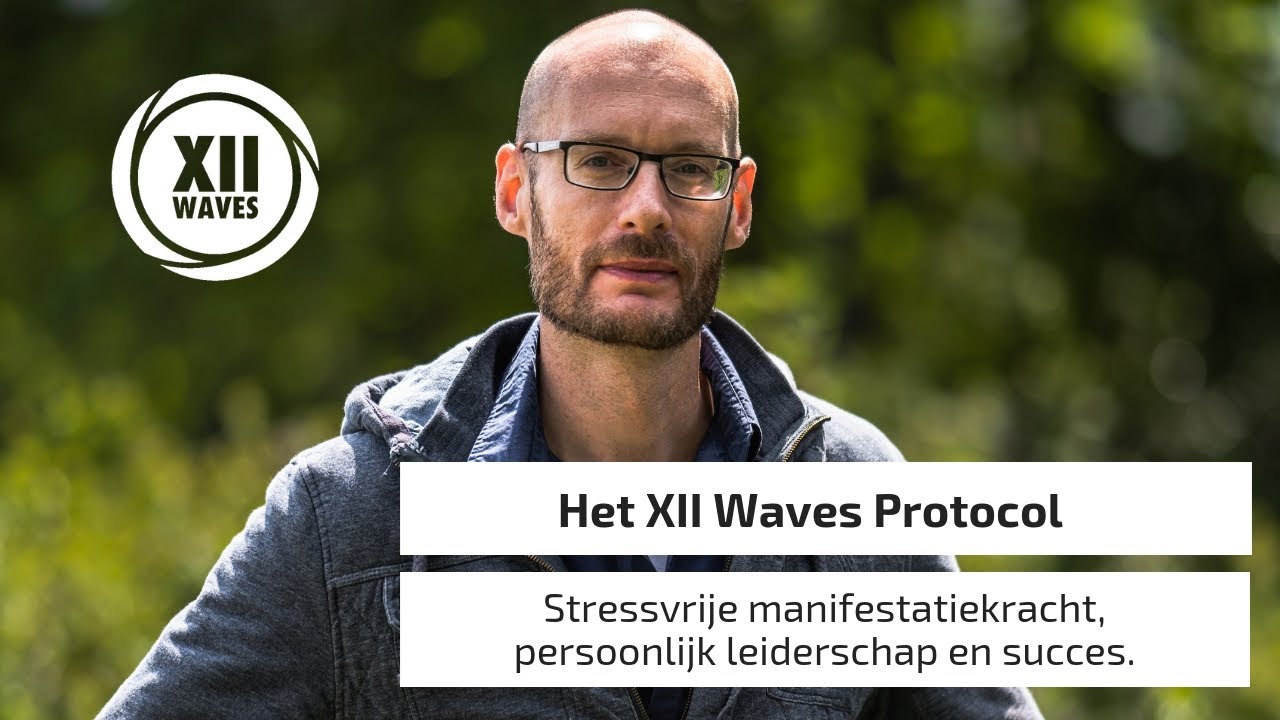 Michel Vos: Wat is het XII Waves Protocol?