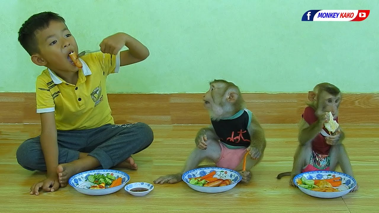Master Chef Monkey | Obedient Kako & Luna With Brother Eating Steamed Sausage With Vegetable
