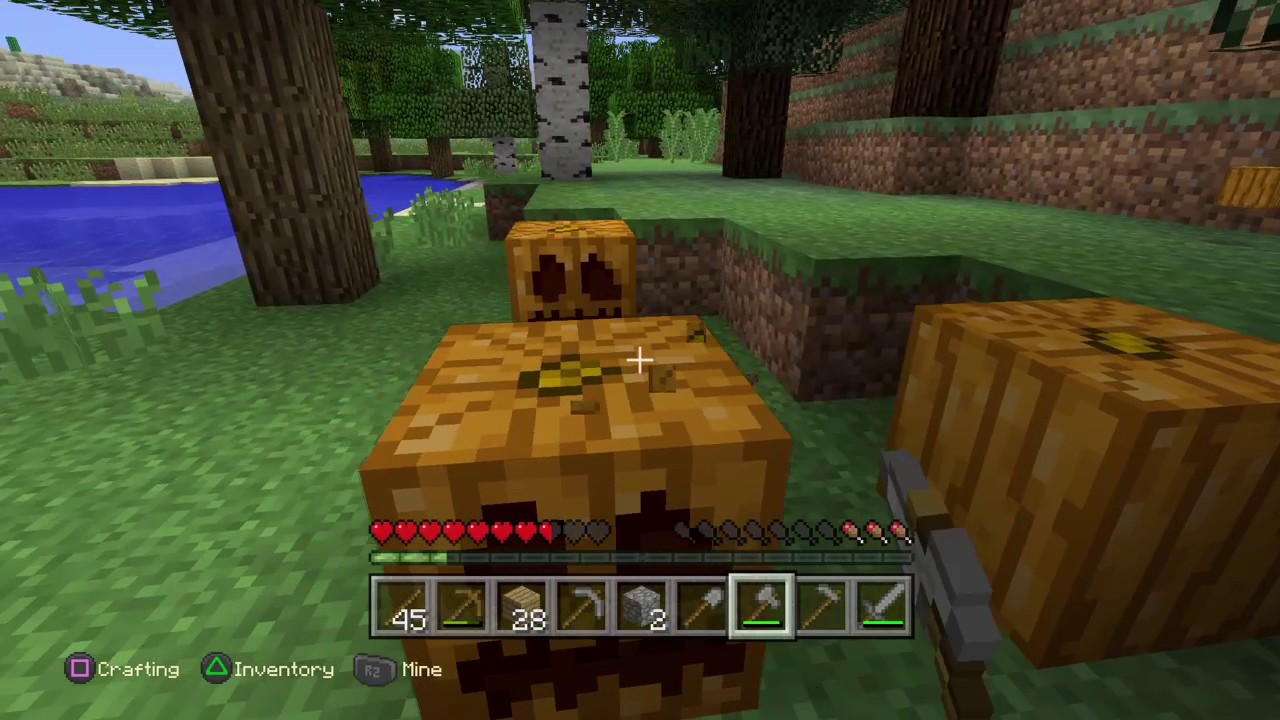 Minecraft survival series