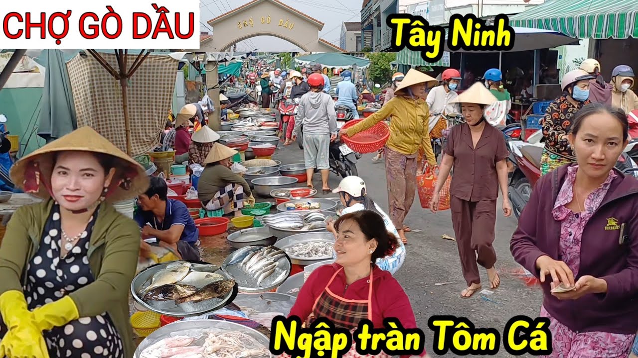 Đi hoài không giáp Chợ Gò Dầu - Tây Ninh, ngập tràn tôm cá