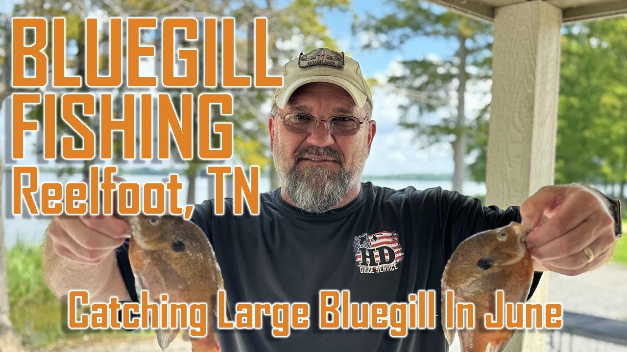 BLUEGILL FISHING, REELFOOT LAKE, Bad Morning, Good Afternoon, EP 2525