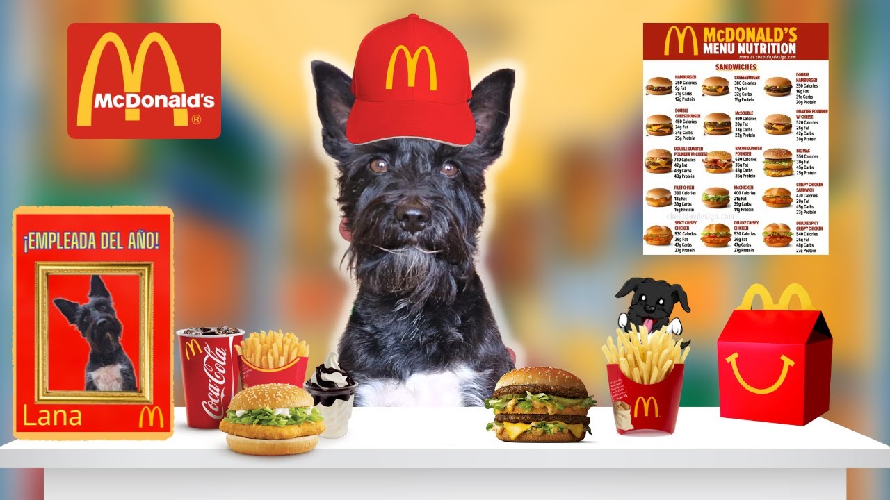 CONVIERTO mi CASA en un MC DONALDS!! Las Aventuras de Lana