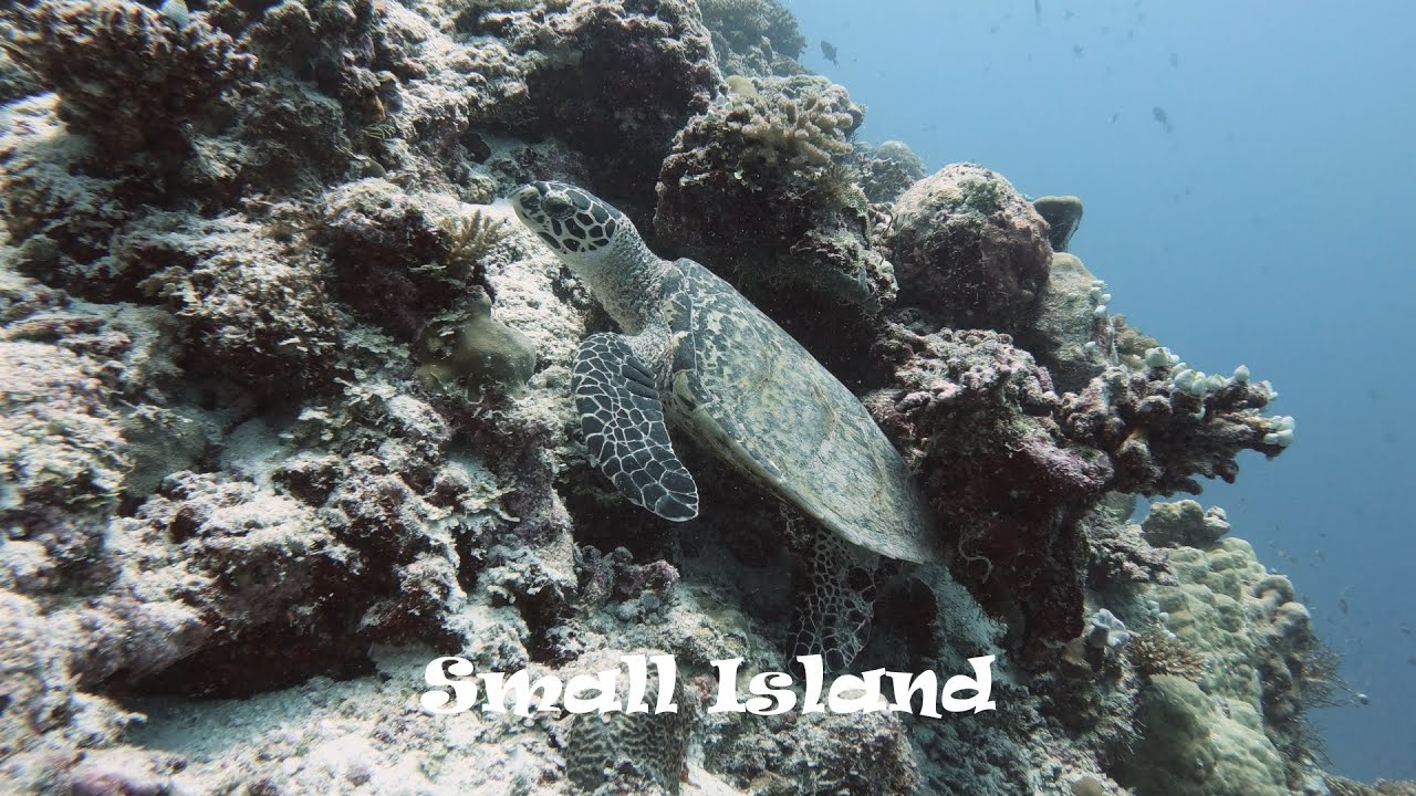 Small Island, South Ari Atoll Maldives