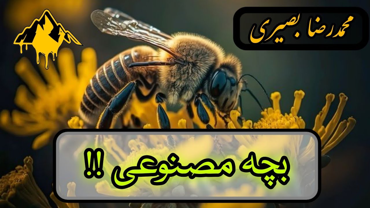 آموزش زنبورداری !!! بچه مصنوعی!