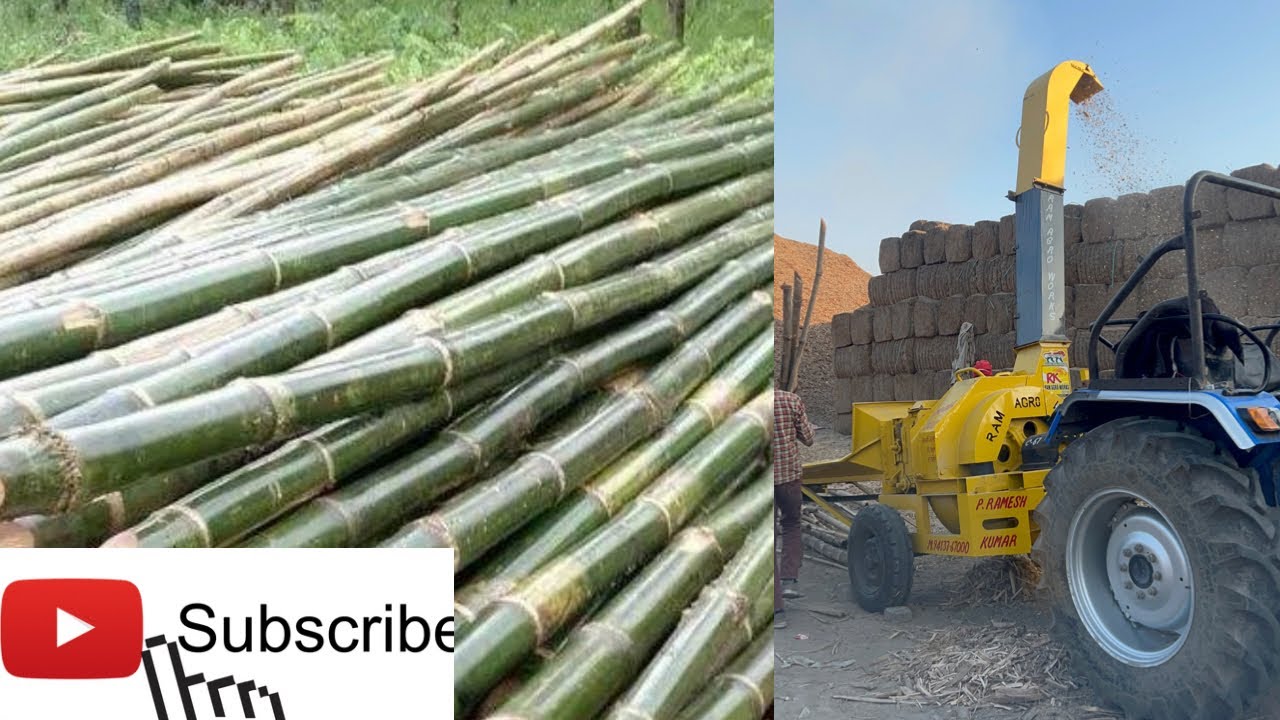 Bamboo Chipper machine