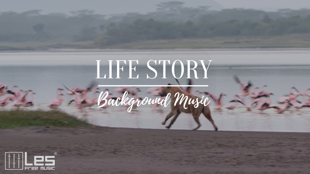 Life Story : Acoustic Indie Folk Peaceful Dreamy Background Music