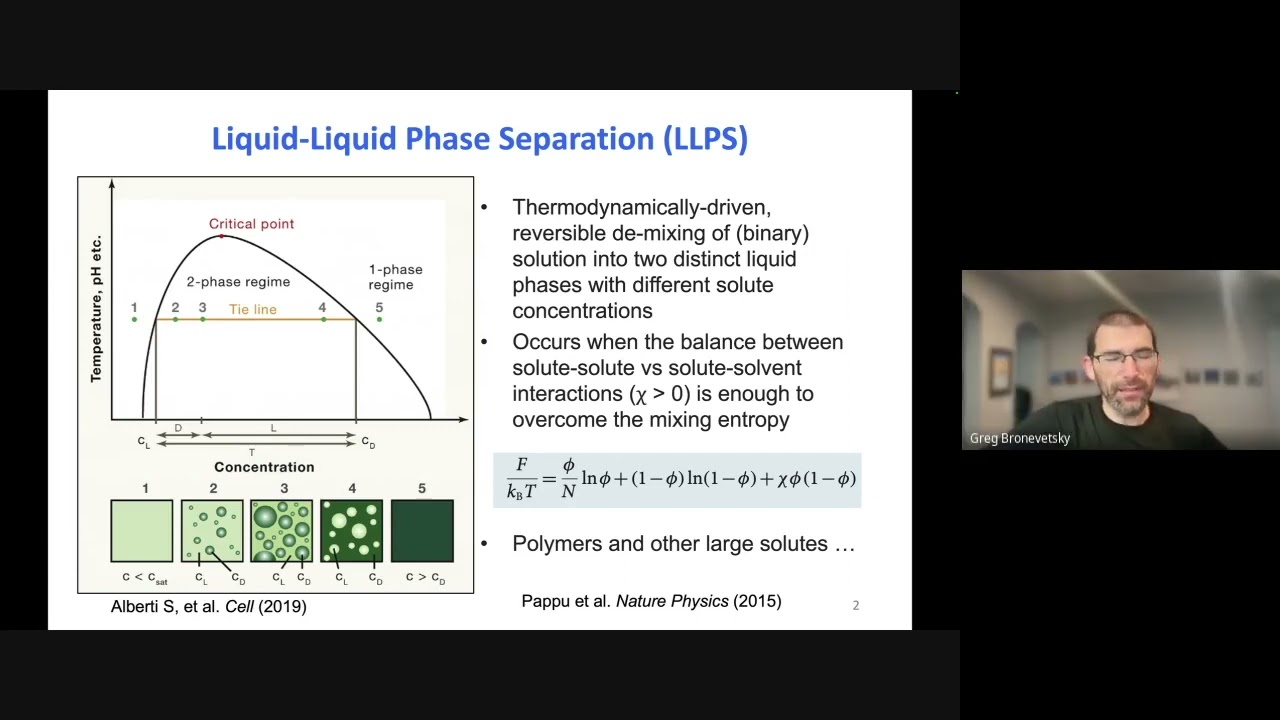 Multiscale simulations of biomolecular phase separation