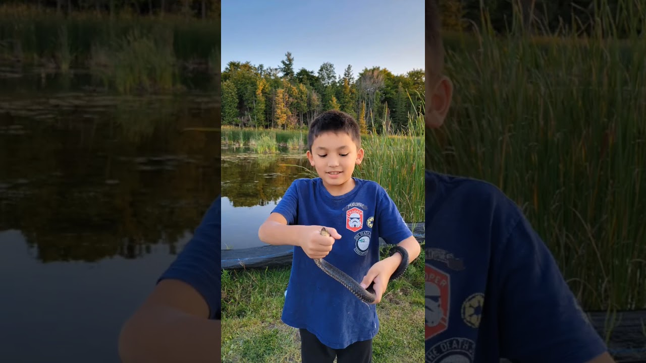 NATURE BOY CATCHES SNAKE & RELEASE  | WATER SNAKE | WILDLIFE | NATURE #naturelovers #nature #fyp
