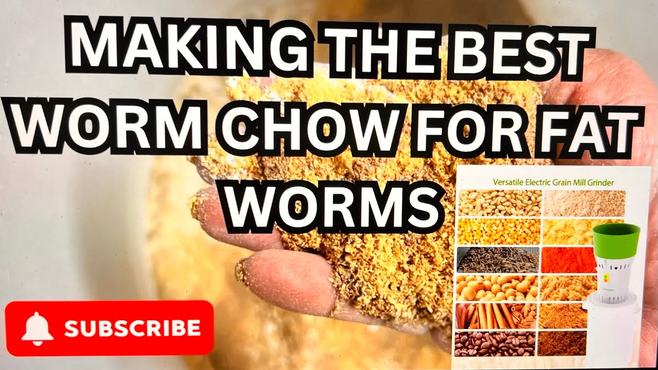 Тестирование измельчителя червей Everygrow