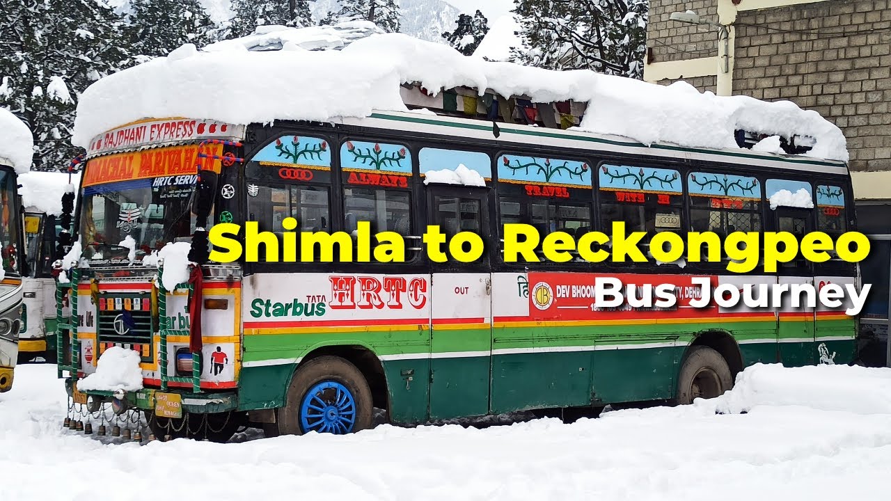HRTC Bus Journey in DANGEROUS SNOWY Roads | Shimla to Reckongpeo Poisonous Mountains #hrtc #kinnaur