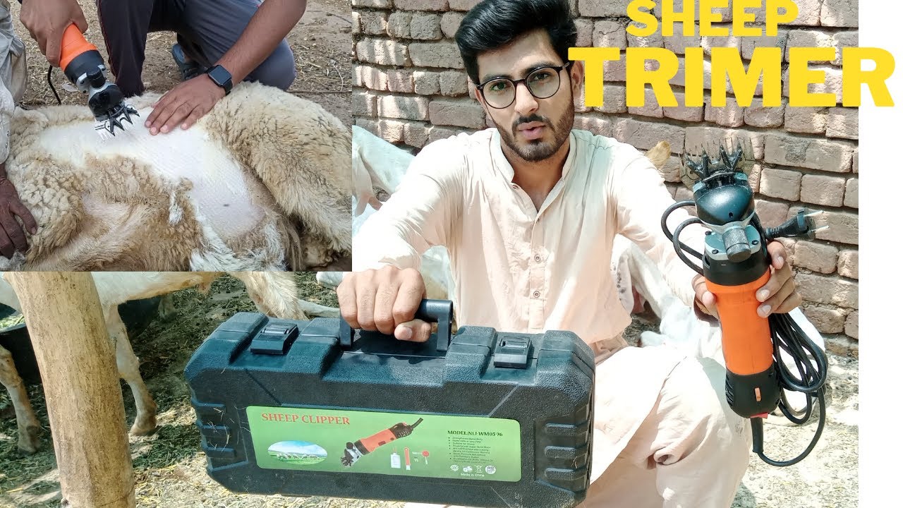 unboxing animal trimer/sheep trimer/goat trimer/animal hair cutting machine.sheep ky baal katne