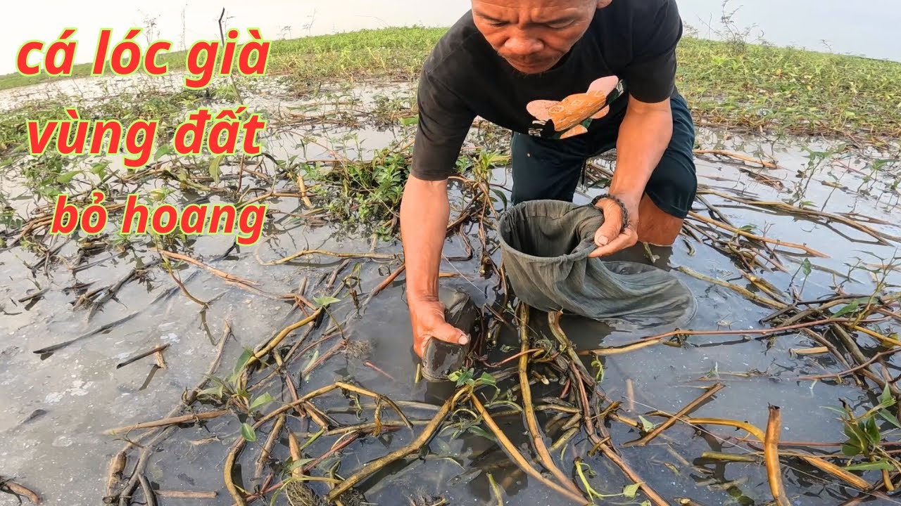 24h cắm trại vùng đất bỏ hoang vương quốc cam-pu-chia/GIÓ LÀNG QUÊ