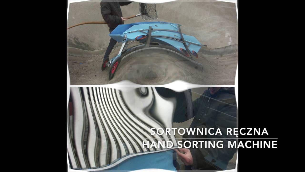 Sortownice do ryb SDK Sp. z o.o.