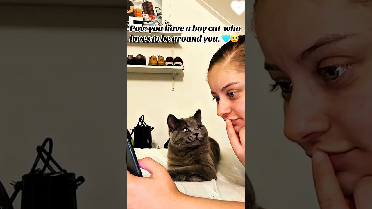 true love between dog and human 🥰❤️ #pet #cat #dog #cute #animals #foryou