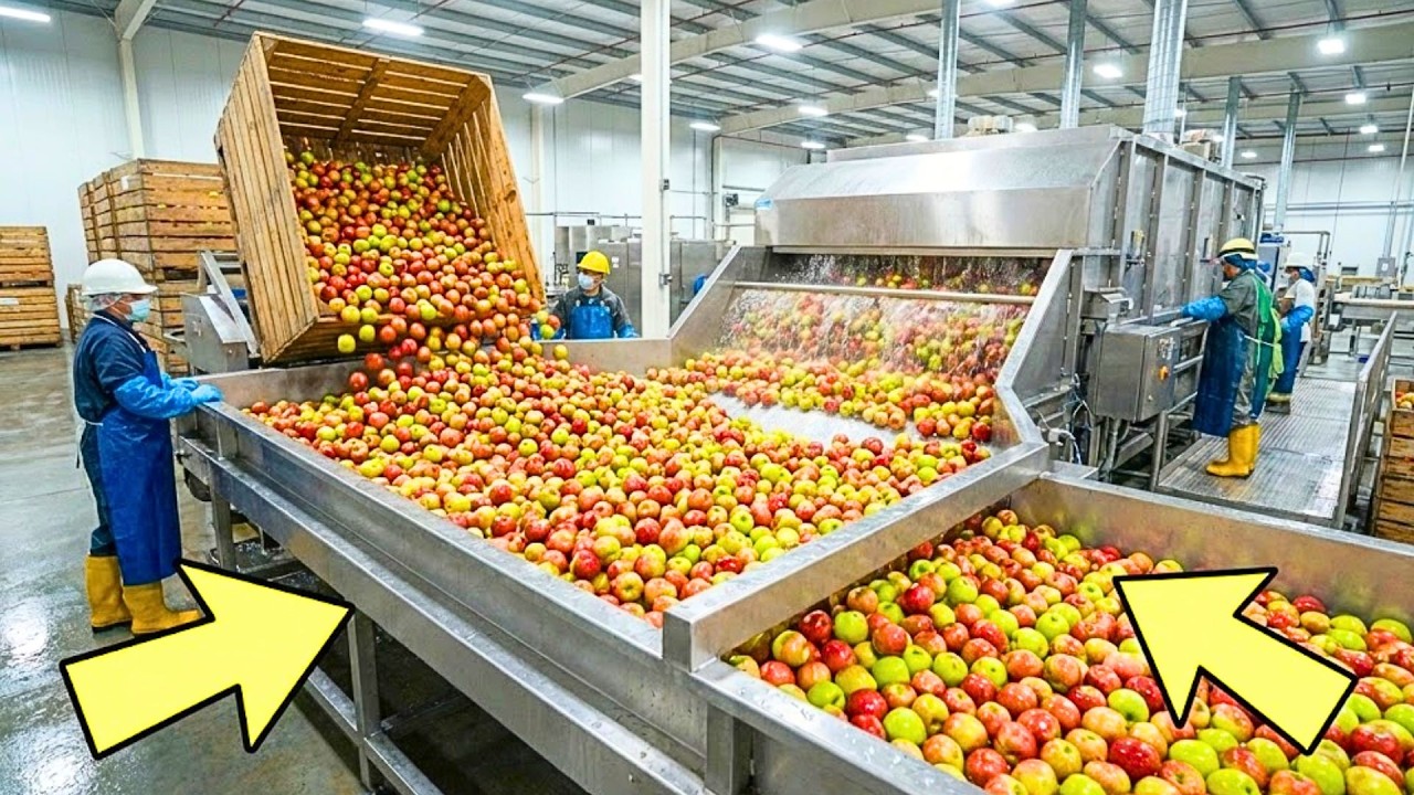 How It's Made the Mass Production of Apple Juice in Mega Factory