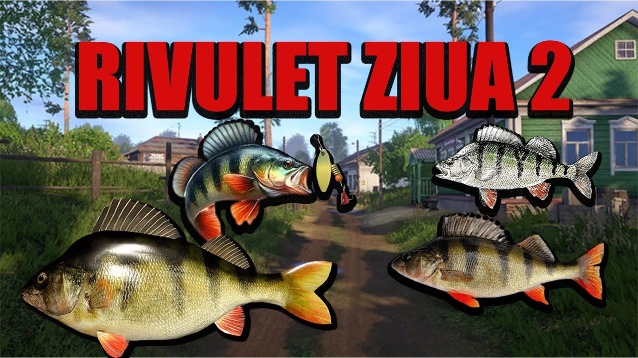 RF4 - 2025 - Ziua 2 de Pescuit pe Rivulet Ep.2  #rf4 #fishing #spinner
