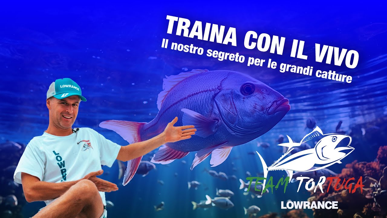 Traina con il vivo | Il nostro segreto per le grandi catture