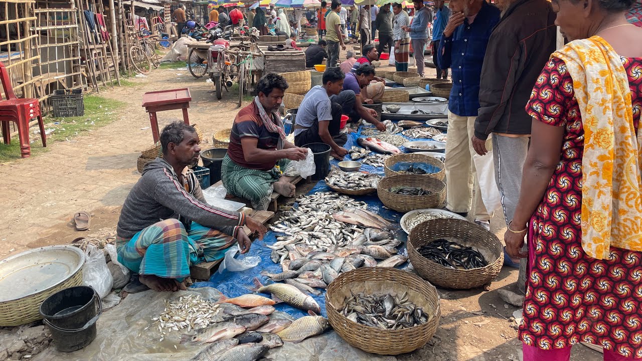 গ্রামীন হাট বাজারে তাজা বিলের মাছ 🐟।village fish market in Bangladesh 