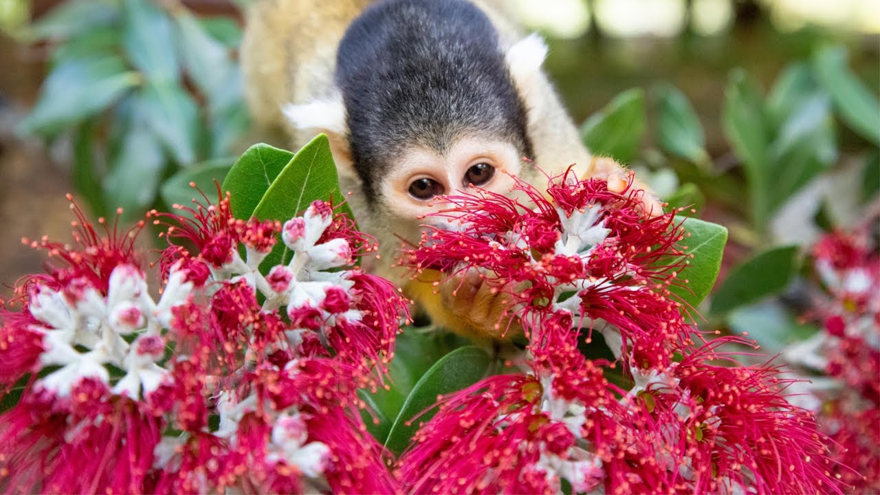 And that's a wrap...2018!