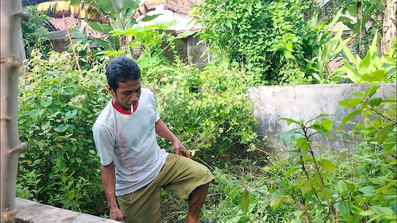 BERSIH BERSIH DI BELAKANG RUMAH PAK POLISI