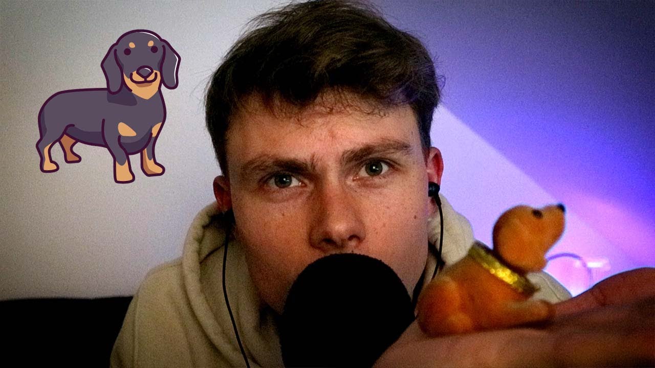 ASMR – TINGLY TRIGGERS 🐶 Dachshund Edition - Tapping, Fabric Sounds, Rambling & More
