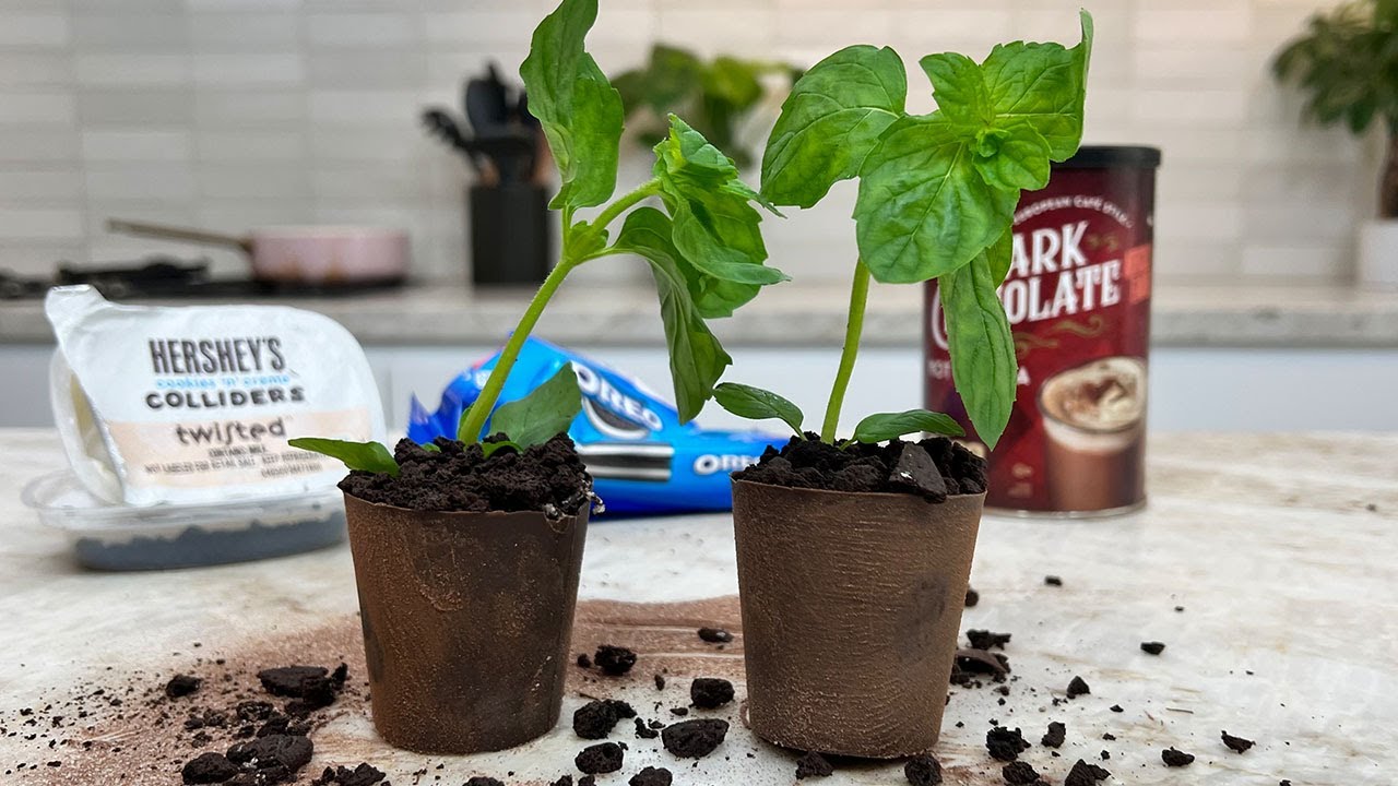 Mini Edible Plant Pots