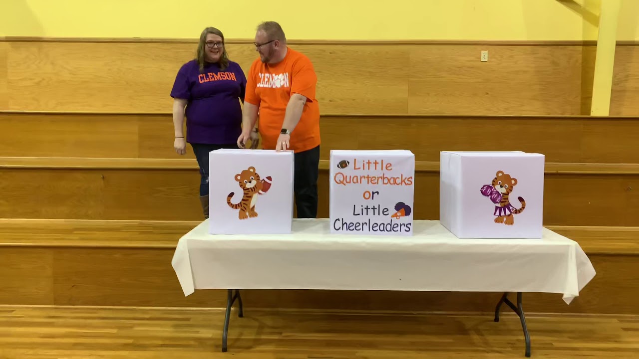 Hart Triplet Gender Reveal Clemson Themed
