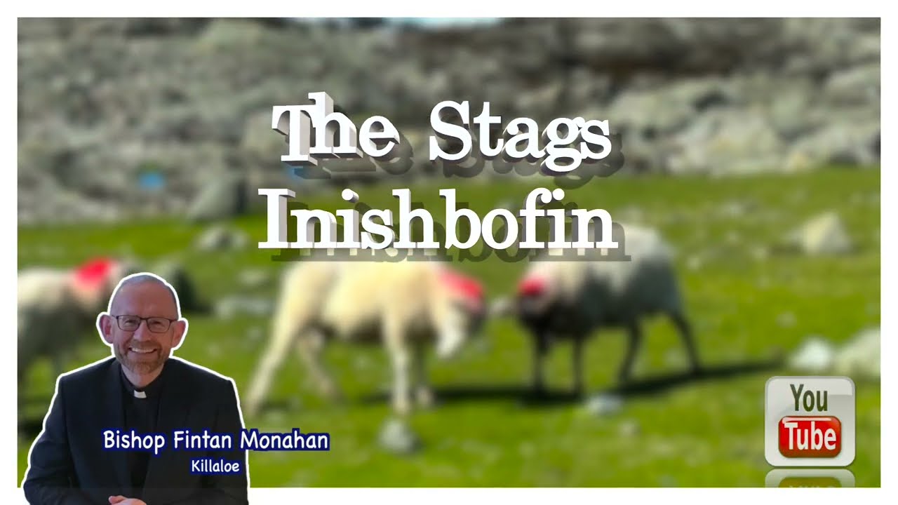 The Stags of Inishbofin, Co. Galway