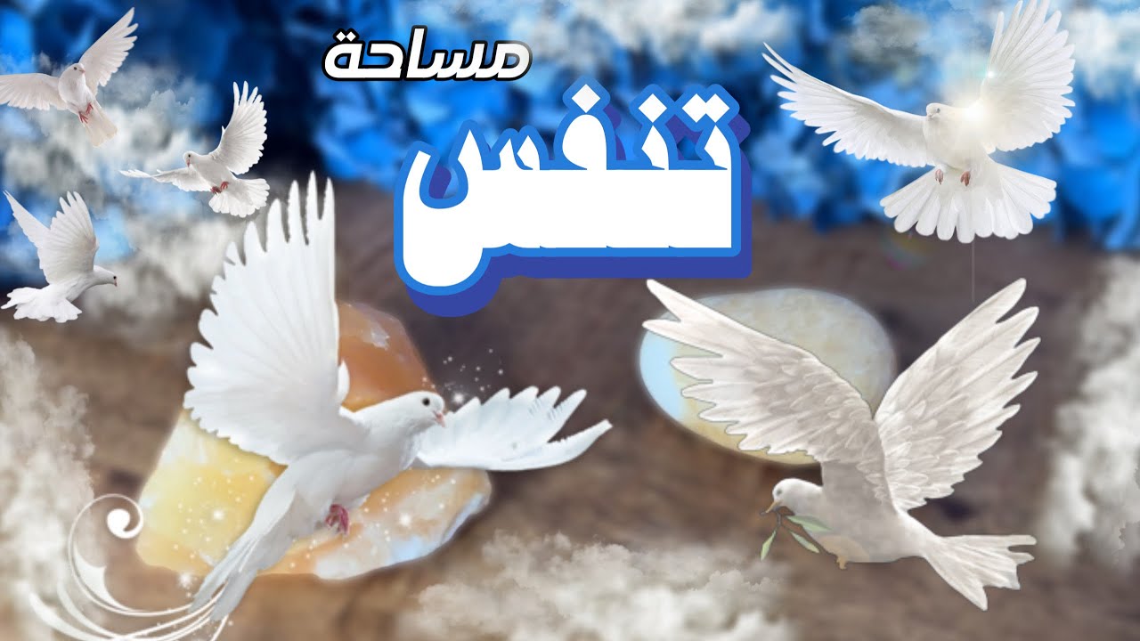 ANGELIC GUIDANCE : رسائل الملائكة و اجوبة لاسئلة في بالك👁️‍🗨️
