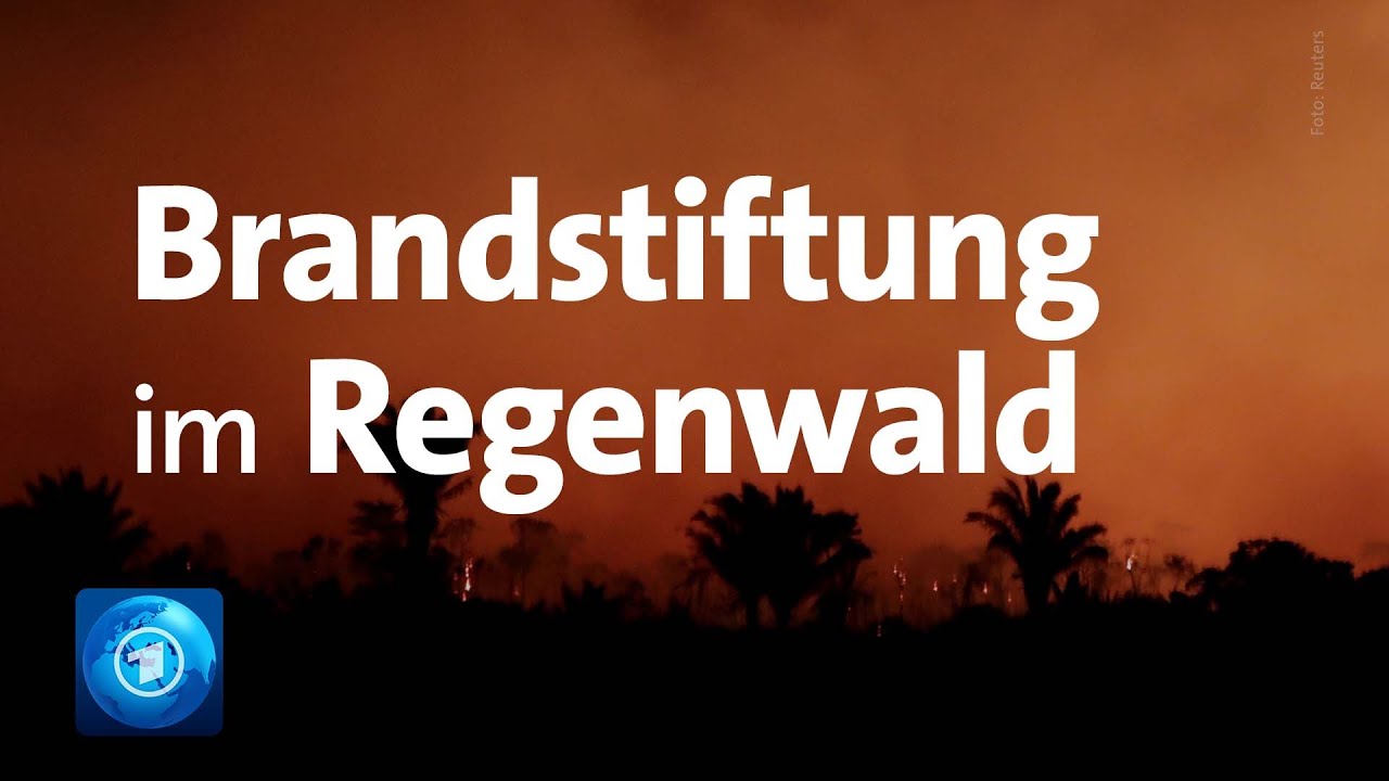 Brasilien: Der Regenwald brennt