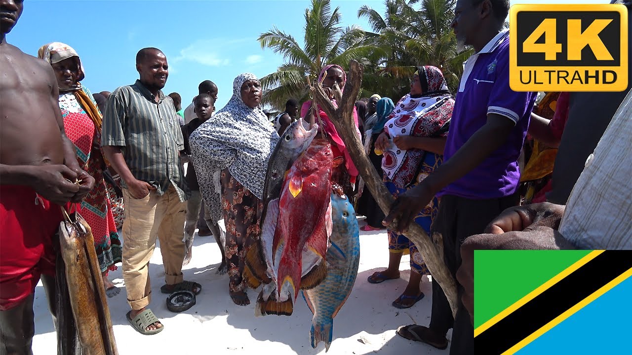 Kigomani Fish Market Zanzibar e2