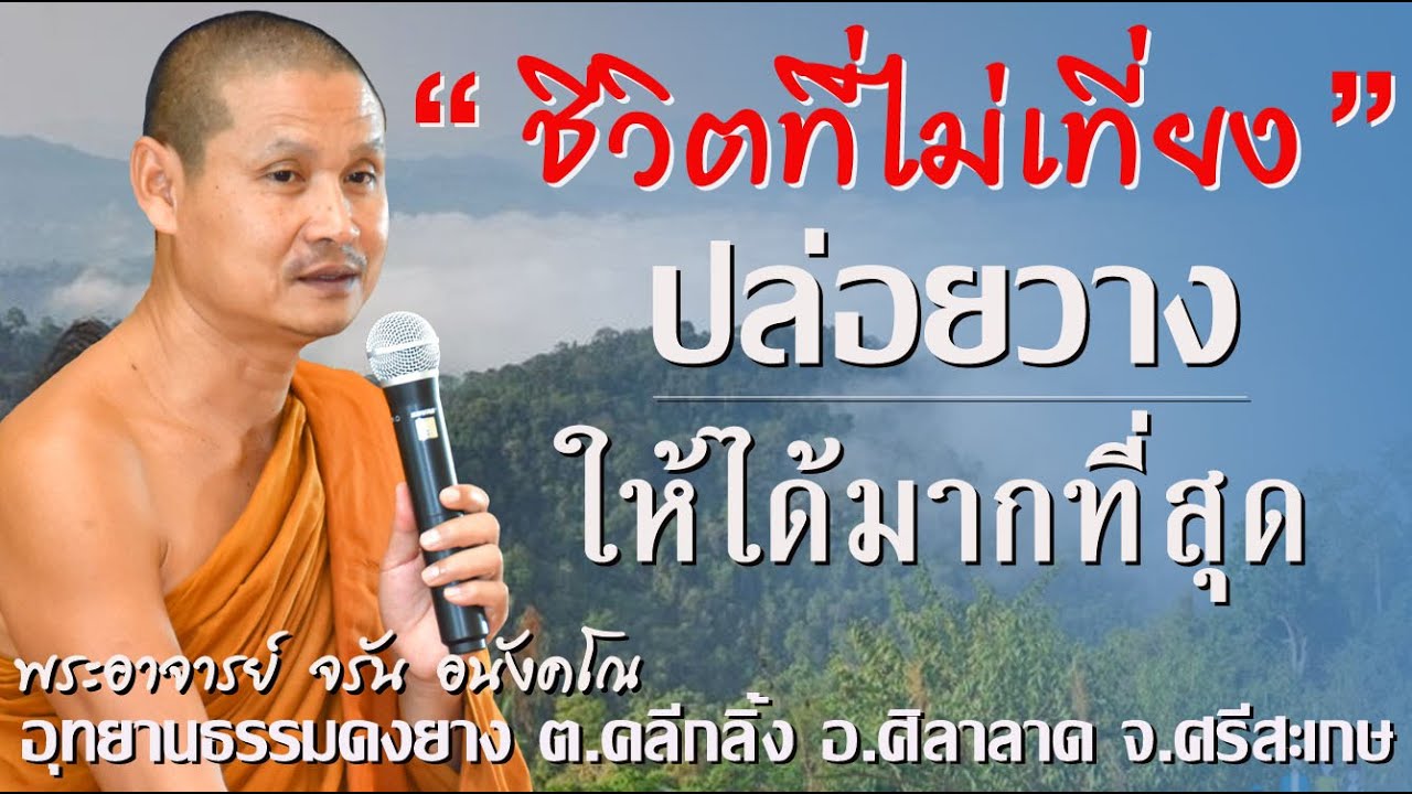 #เช้าแห่งบุญที่ดงยาง #ชีวิตที่ไม่เที่ยงปล่อยวางให้มากที่สุด  #พระอาจารย์จรัน อนังคโณ ๒๗ สิงหาคม ๒๕๖๖