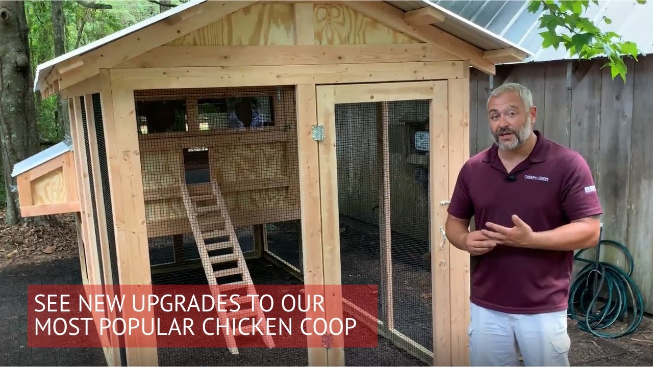 See the New Upgrades to Our Most Popular Chicken Coop