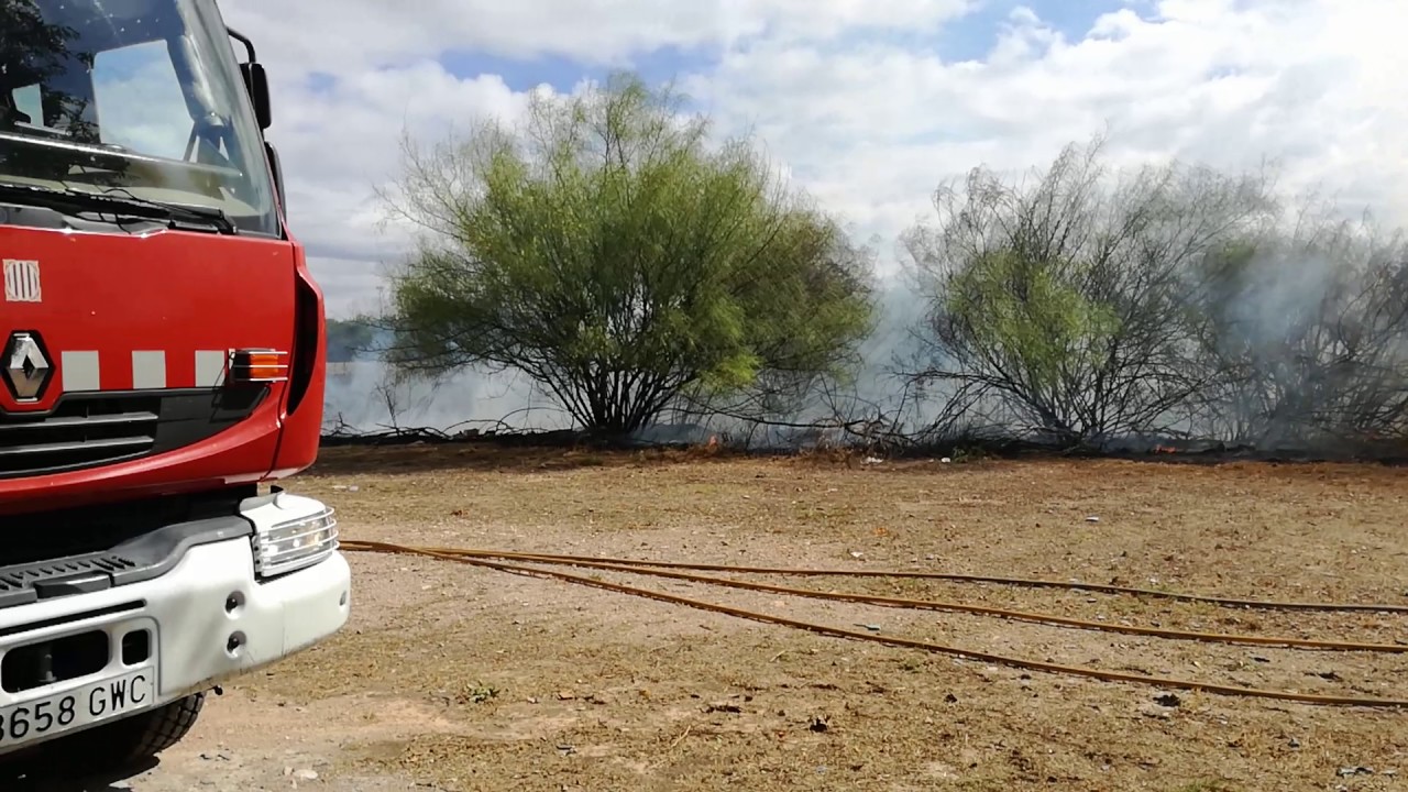Incendi de vegetaci&oacute; a La Canonja, al Tarragon&egrave;s