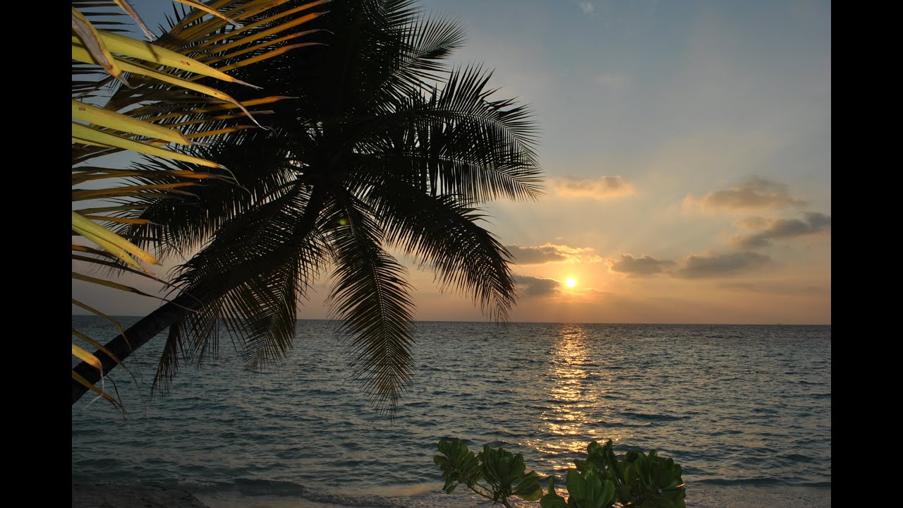 Maldive 2016 -  Maayafushi