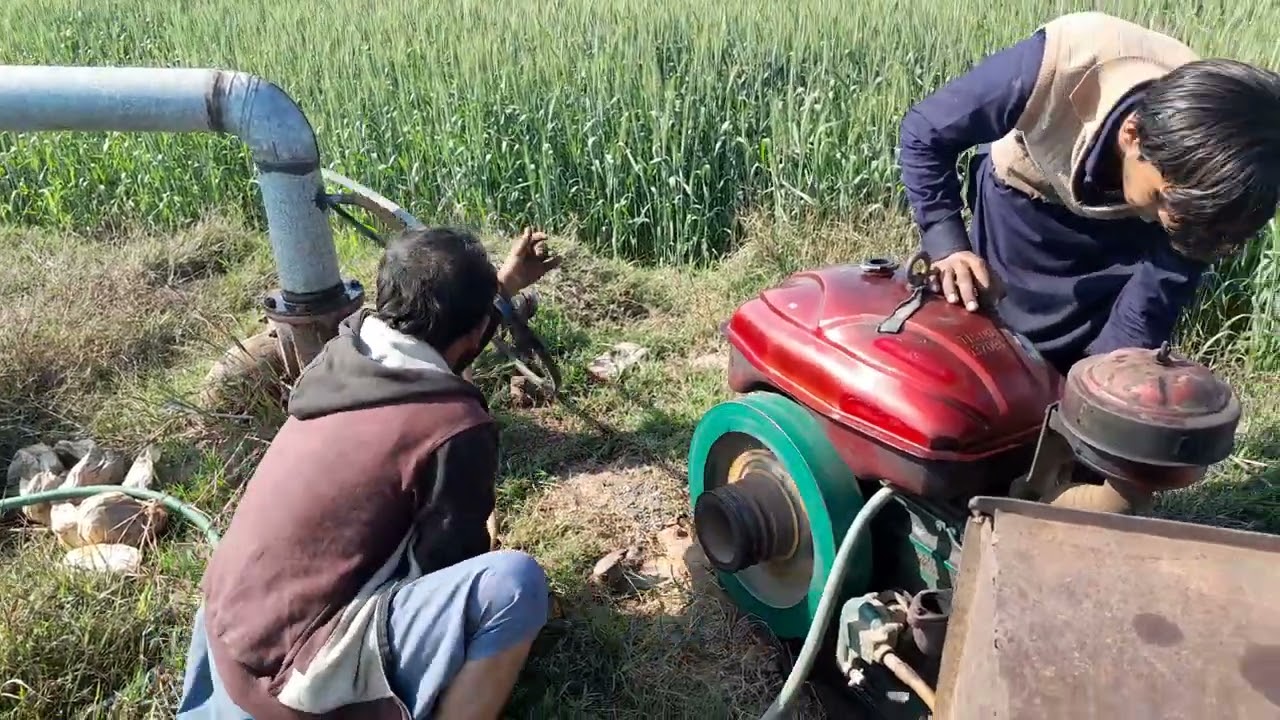 گندم کو دوسرا پانی پیٹر انجن کے ساتھ #whatsapp_status  #engine #punjabi #egr