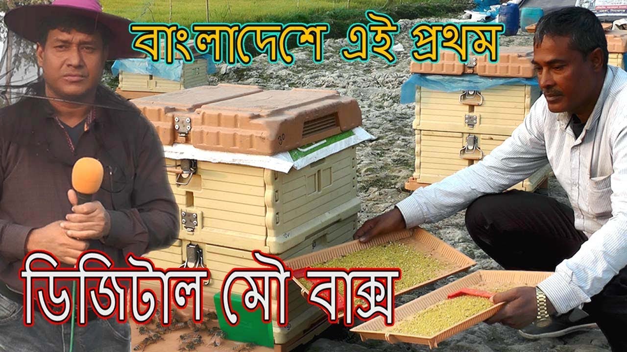 ডিজিটাল মৌ বাক্স । মৌ চাষিদের জন্য ৫ গুন্ লাভ ।  বাংলাদেশে এই প্রথম । বেকার সমস্যার সমাধান