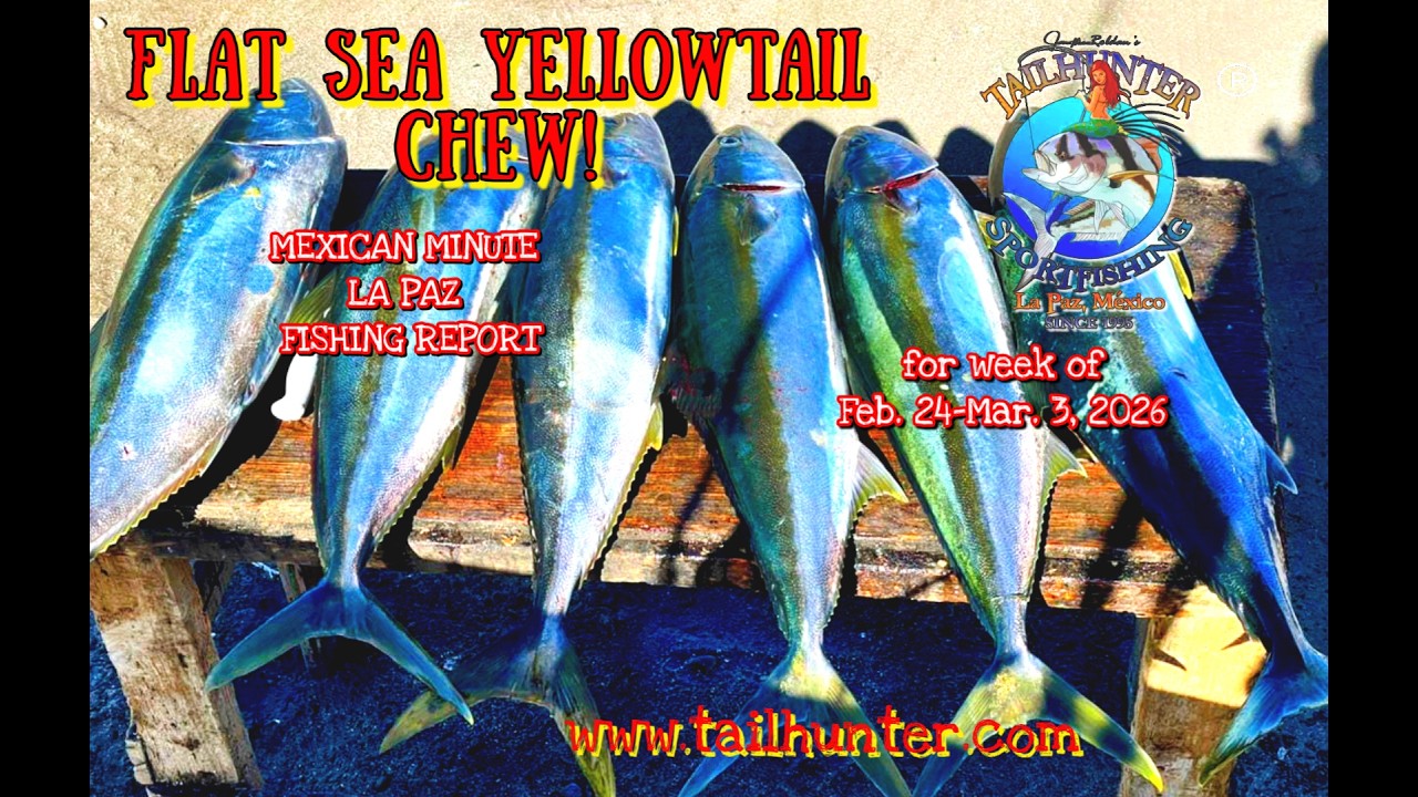 MEXICAN MINUTE LA PAZ FISHING REPORT from Tailhunter Sportfishing for Week of  Feb.  24-Mar 3, 2026