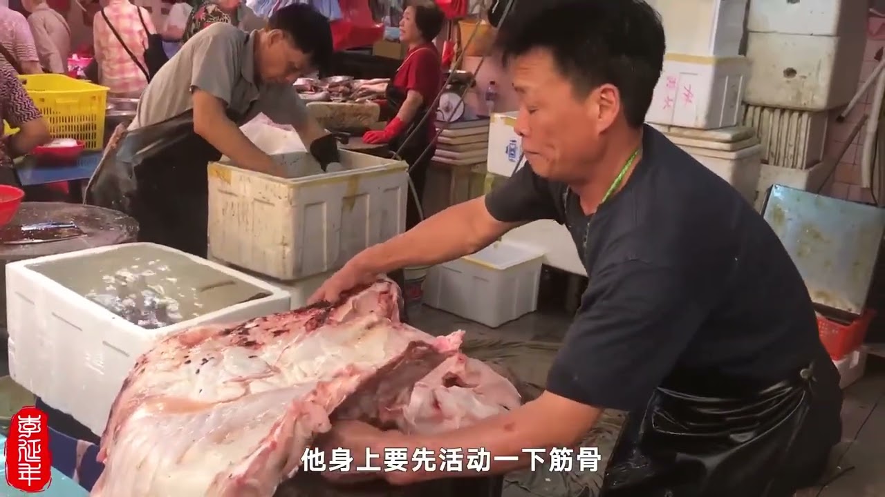 港人切割440斤的巨型龙趸石斑，太震撼了！#龙趸  #龙趸石斑 #海鲜  #杀鱼技术  #鲭鱼 #青花鱼  #国际美食研究僧  #挪威鲭鱼