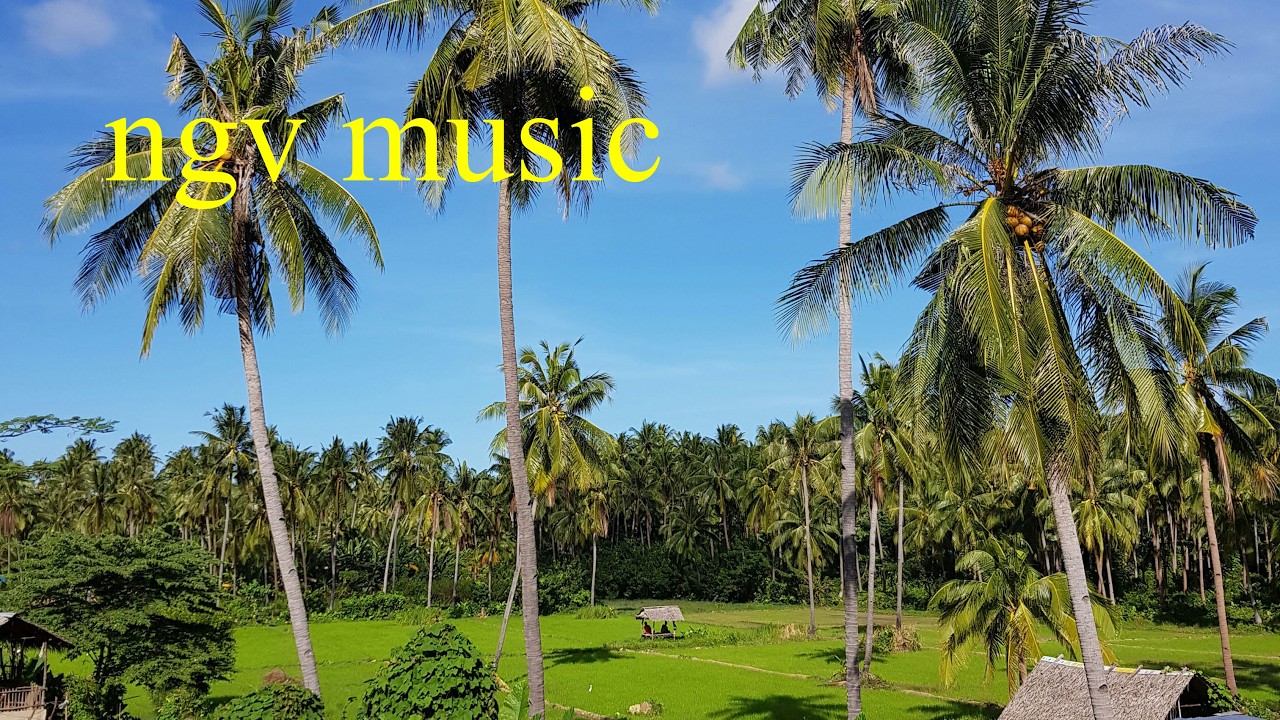Kí Ức Đầu Xuân | Spring Memories -Tango Duet | ngv Phương Việt