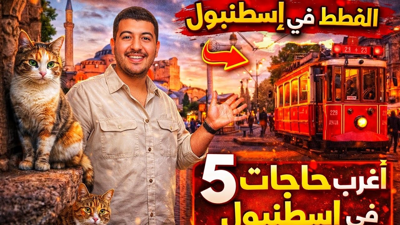 Позвольте мне рассказать вам о 5 самых странных вещах, которые я увидел в Стамбуле 🇹🇷