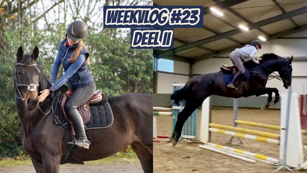 EERSTE RIT MET NIEUW PAARD & EERSTE KEER SPRINGEN MET LADY | Weekvlog 23 deel 2 | Horses by Demi