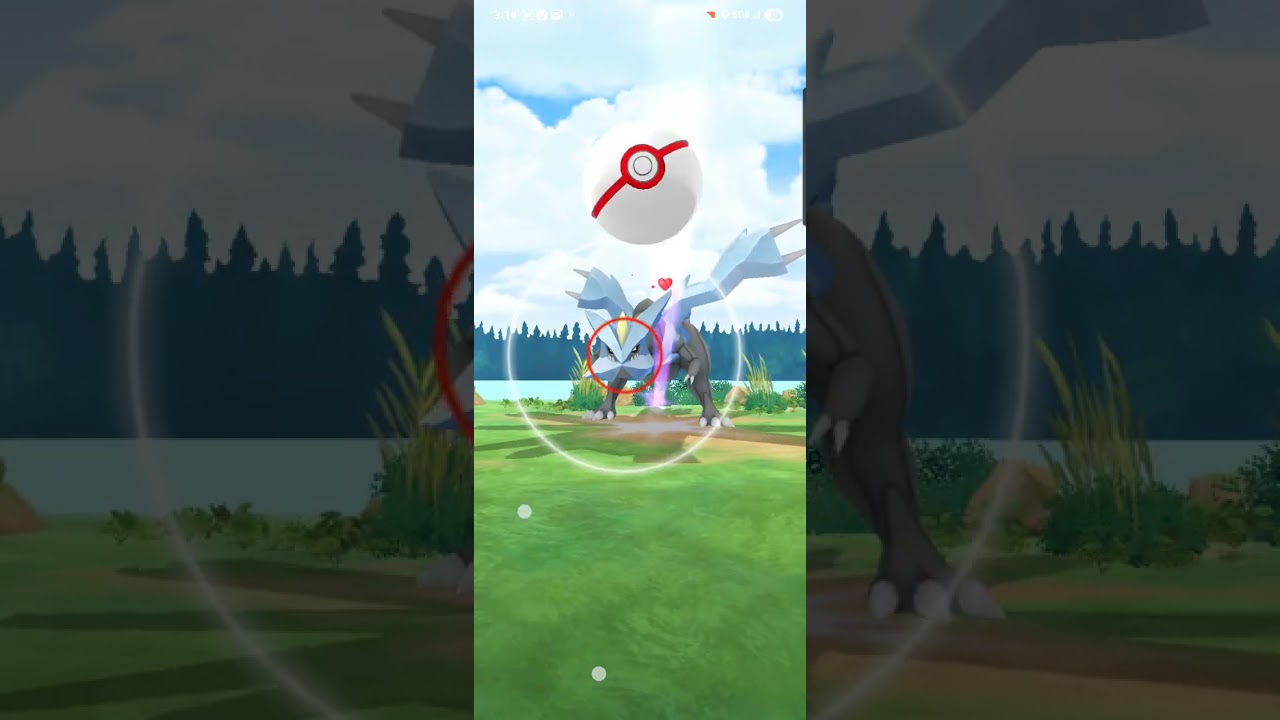Kyurem raid day experience