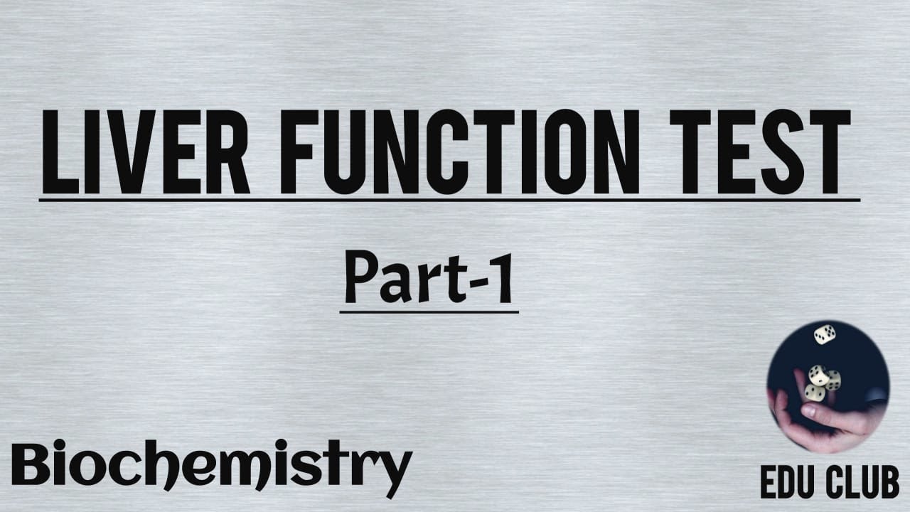 Liver Function Test - Part 1 || Organ Function Test || Biochem