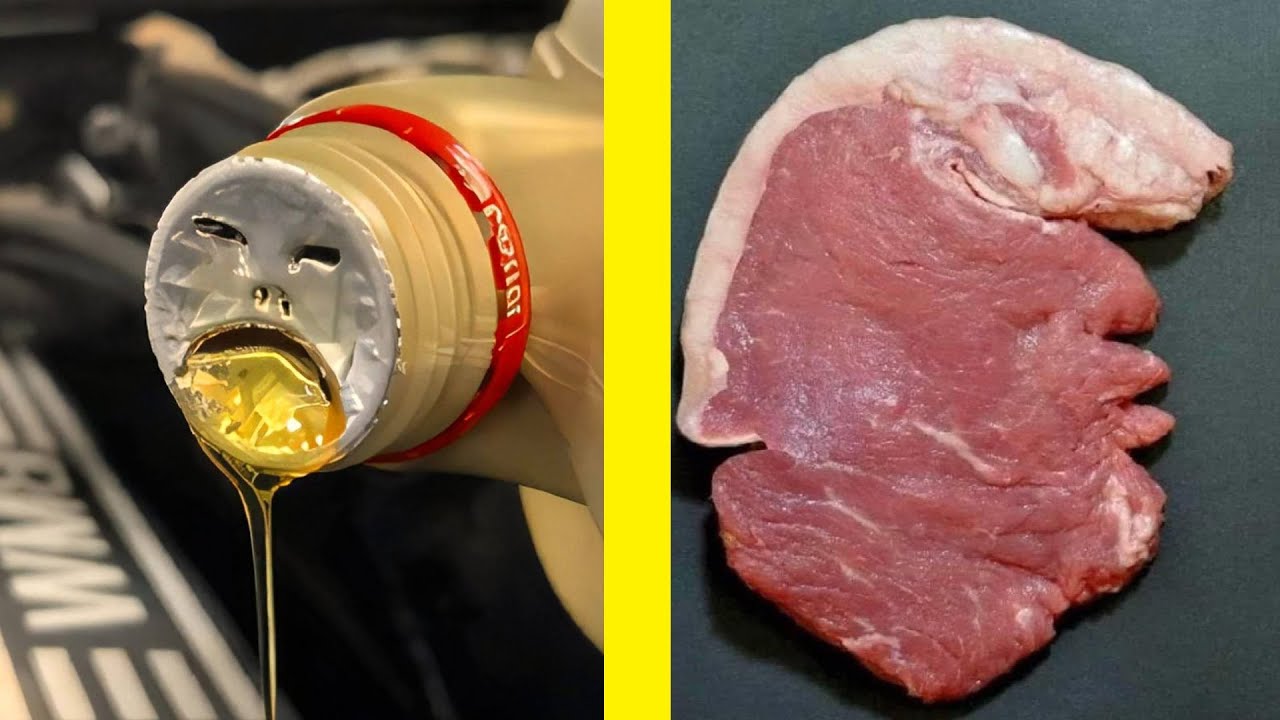 2026 Funny Paredolia: Things That Look Like Something Else