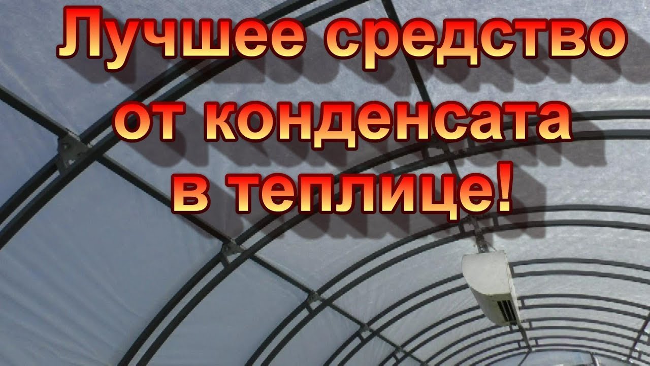 От конденсата в теплице быстренько натягиваем агроволокно.