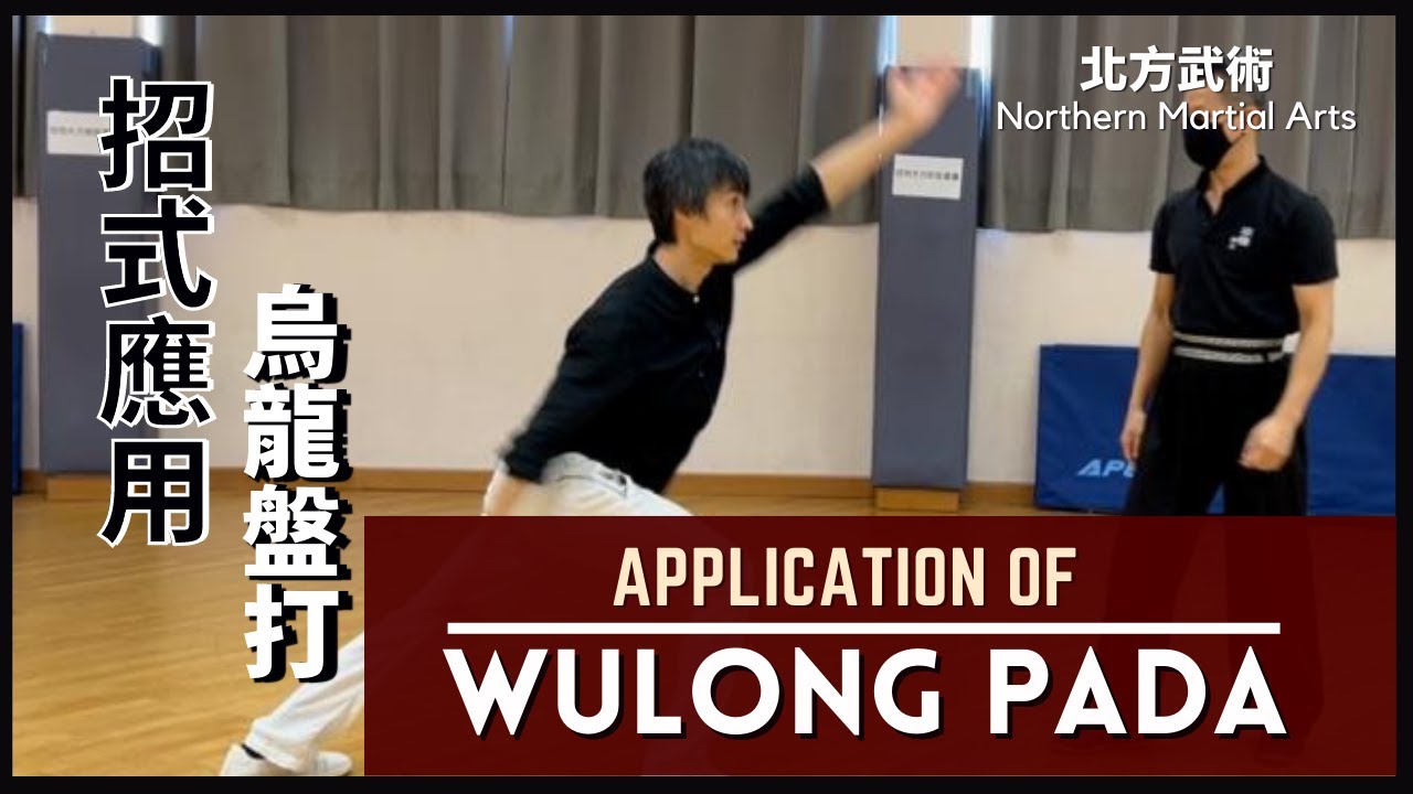 北方武術 招式應用-烏龍盤打 Northern Martial Arts Application of WuLong PaDa