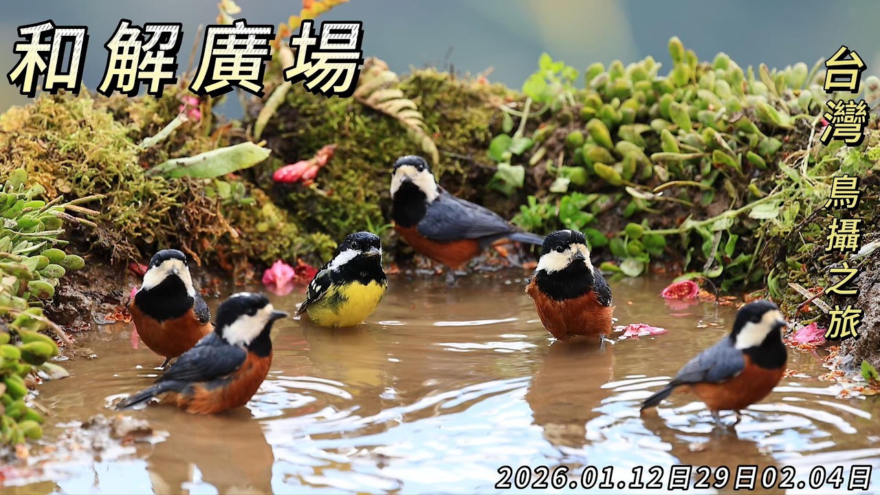 2026.01~02新竹尖石 和解廣場